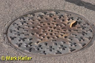 CRW_0130 * No Vampires Allowed?