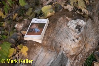 CRW_0460 * Found by the Riverbank