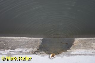 sidelining * (15 Slides)