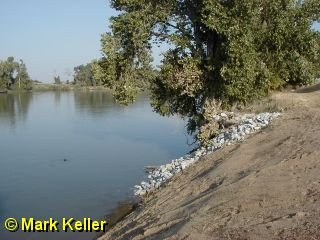 P9040021 * Rip Rap Work on the Levee