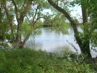 Sacramento River Parkway